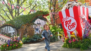 Chelsea in Bloom