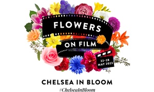 Chelsea in Bloom
