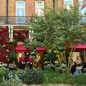 Cadogan Website